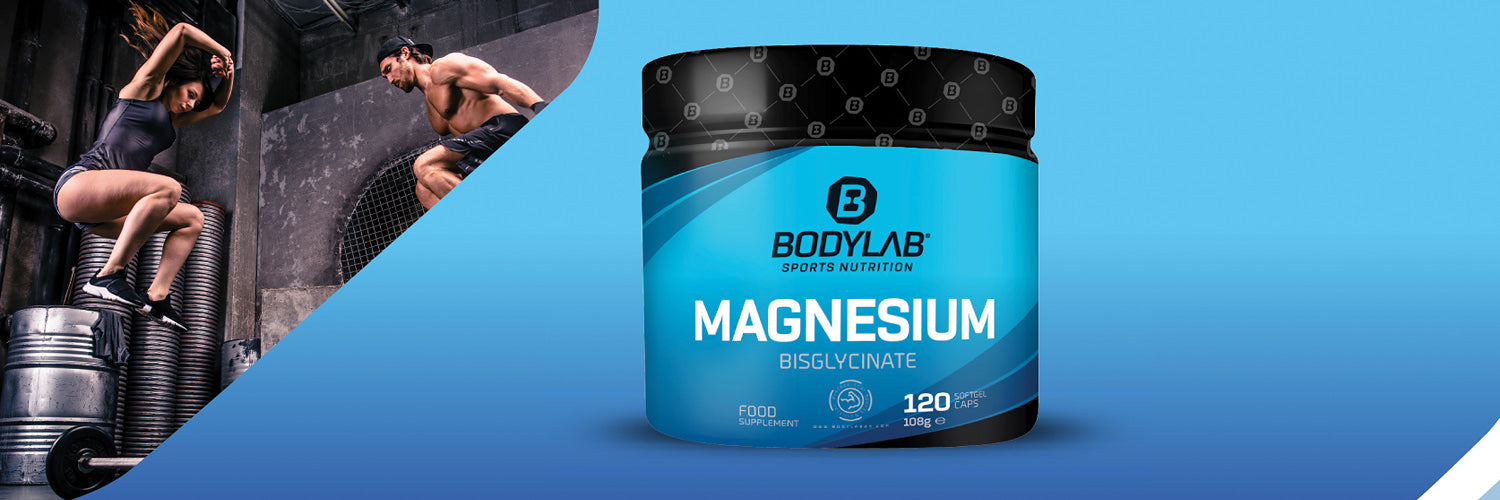 1500x500-magnesium-2020