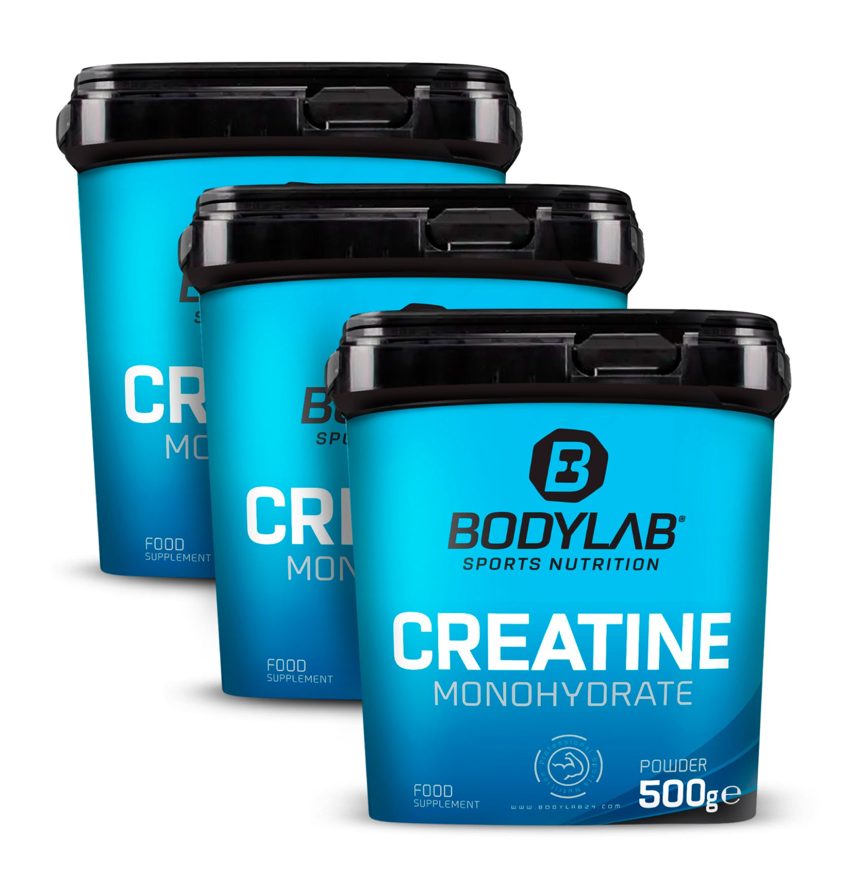 3 x Creatine Powder (500g)