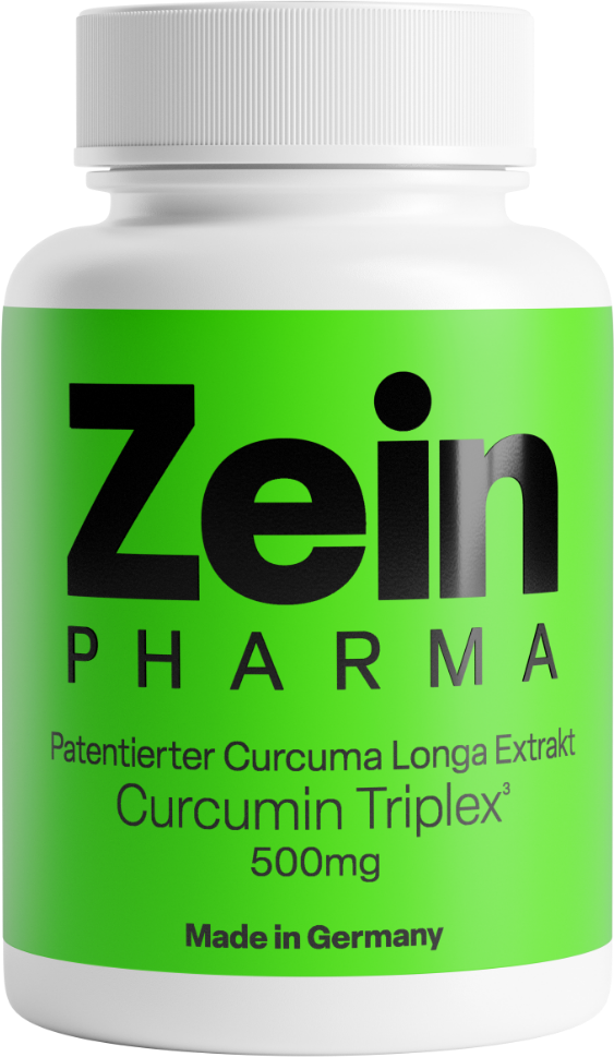 Curcumin-Triplex³ 500mg (90 Kapseln)